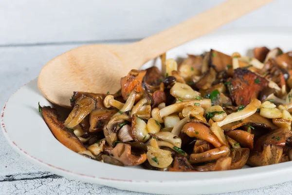 Sauteed wild mushrooms — Stock Photo, Image