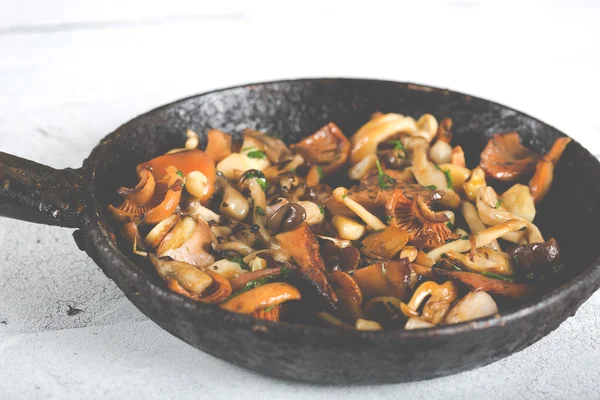 Sauteed wild mushrooms — Stock Photo, Image