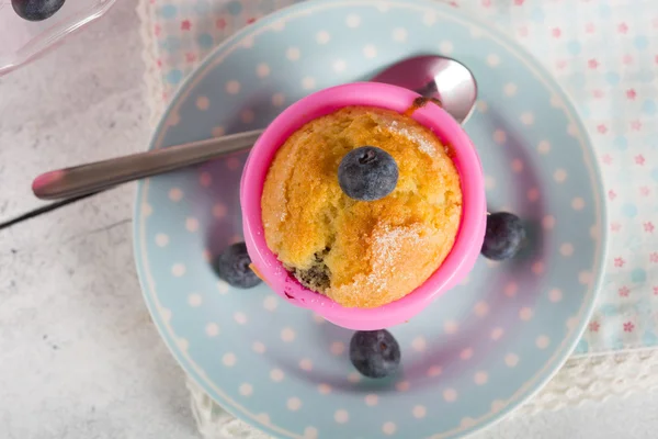 Wild blueberry muffins — Stock Photo, Image