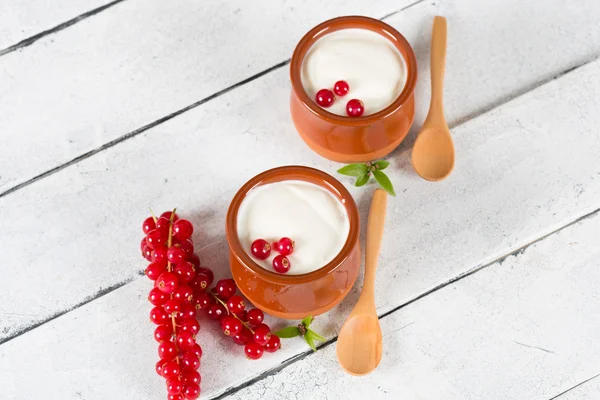 Yogurt dengan kismis merah — Stok Foto