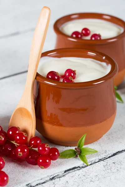 Yogur con grosella roja — Foto de Stock