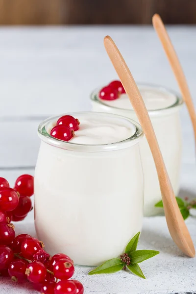 Yogur con grosella roja — Foto de Stock