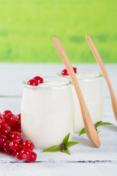 Joghurt piros ribizli — Stock Fotó
