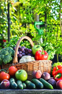 Taze organik sebze ve meyve bahçesinde çeşitli