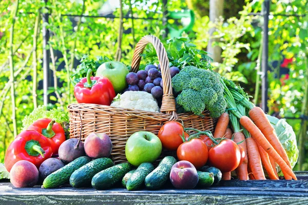 Ποικιλία από φρέσκα βιολογικά λαχανικά και φρούτα στον κήπο — Φωτογραφία Αρχείου
