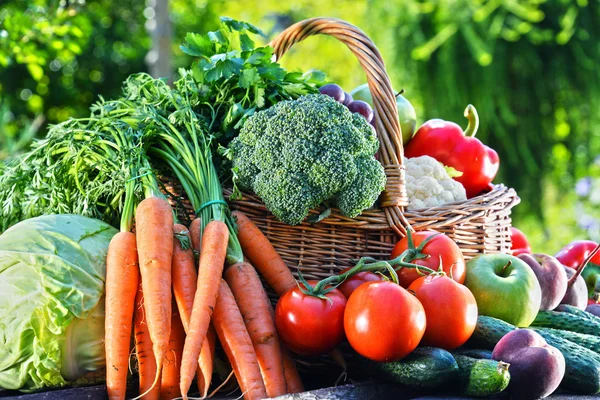 Разнообразие свежих органических овощей и фруктов в саду — стоковое фото