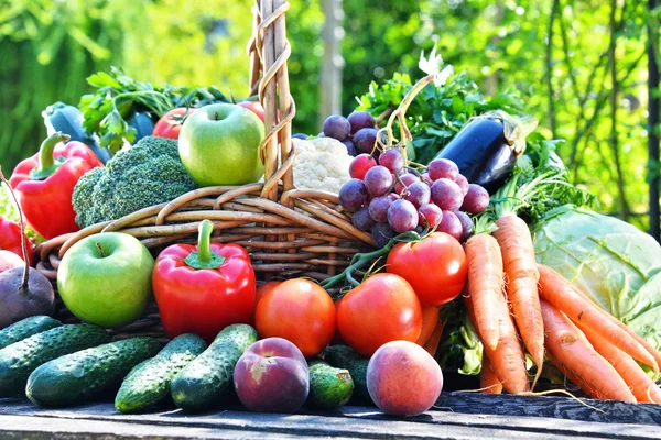 Variedade de vegetais orgânicos frescos e frutas no jardim — Fotografia de Stock