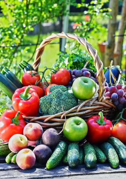 Vielfalt an frischem Bio-Gemüse und Obst im Garten — Stockfoto