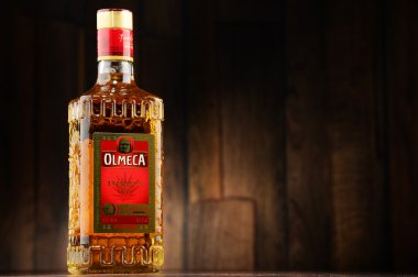 Olmeca Tekila Altın Şişesi