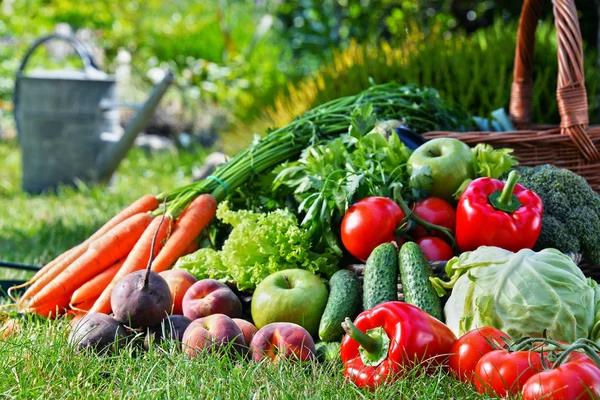Berbagai sayuran organik segar dan buah-buahan di kebun — Stok Foto