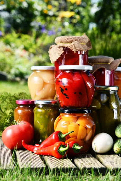 Frascos de legumes em conserva e frutas no jardim — Fotografia de Stock