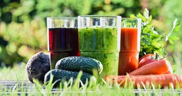 Glazen met verse biologische detox sappen in de tuin — Stockfoto