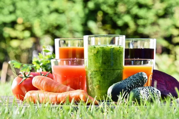 Glazen met verse biologische detox sappen in de tuin — Stockfoto