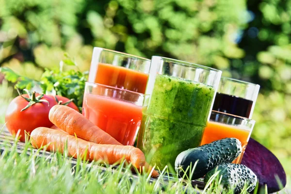 Bicchieri con succhi di disintossicazione organici freschi in giardino — Foto Stock