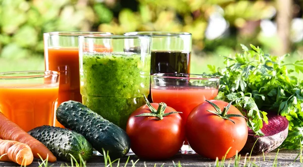 Vasos con zumos de desintoxicación orgánicos frescos en el jardín —  Fotos de Stock