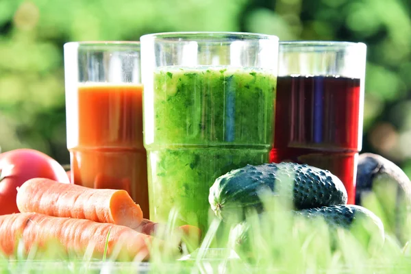 Glazen met verse biologische detox sappen in de tuin — Stockfoto