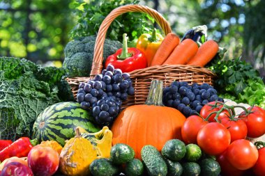 Taze organik sebze ve meyve bahçesinde çeşitli