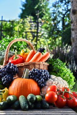 Taze organik sebze ve meyve bahçesinde çeşitli