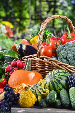 Taze organik sebze ve meyve bahçesinde çeşitli