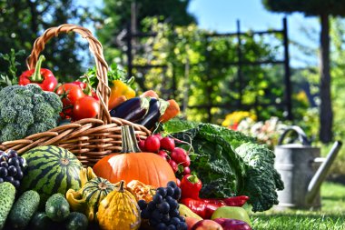 Taze organik sebze ve meyve bahçesinde çeşitli