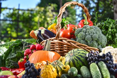 Taze organik sebze ve meyve bahçesinde çeşitli