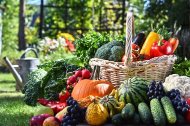 Taze organik sebze ve meyve bahçesinde çeşitli