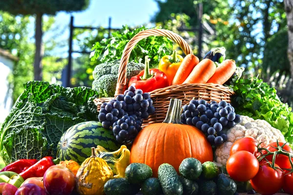 Variété de légumes et fruits frais biologiques dans le jardin — Photo