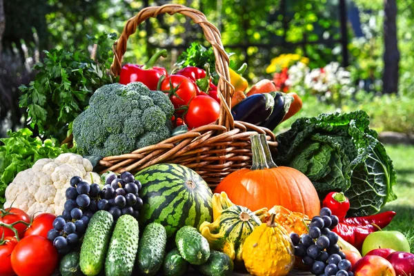 Mängd färska ekologiska grönsaker och frukter i trädgården — Stockfoto