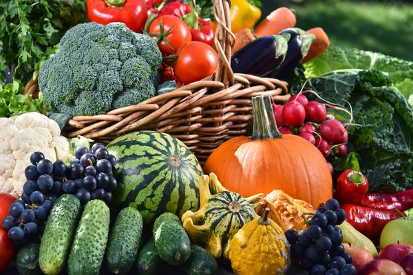 Variété de légumes et fruits frais biologiques dans le jardin — Photo