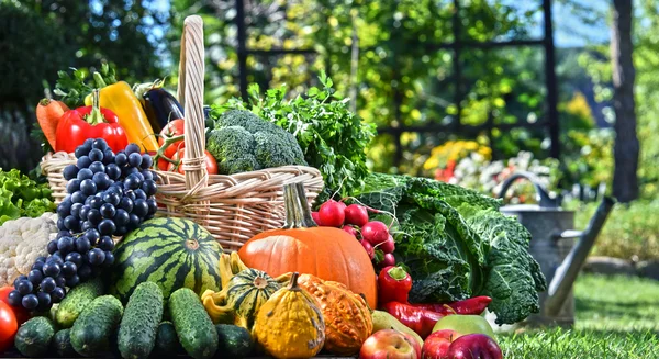 Variedad de verduras y frutas orgánicas frescas en el jardín —  Fotos de Stock