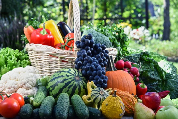 Variété de légumes et fruits frais biologiques dans le jardin — Photo