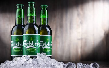 POZNAN, POL - OCT 2, 2020: Carlsberg soluk bira şişeleri, Danimarka 'nın başkenti Kopenhag' da 1847 yılında kurulan Danimarkalı bira şirketi Carlsberg Group tarafından üretiliyor.