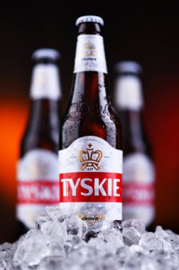 POZNAN, POL - OCT 2, 2020: Polonya 'da en çok satan bira şişeleri, Asahi Bira Fabrikalarının bir yan kuruluşu olan Kompania Piwowarska tarafından üretiliyor