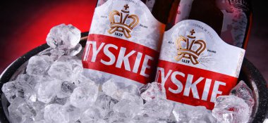 POZNAN, POL - OCT 8, 2020: Polonya 'da en çok satan bira şişesi, Asahi Bira Fabrikaları' nın yan kuruluşu Kompania Piwowarska tarafından üretiliyor.