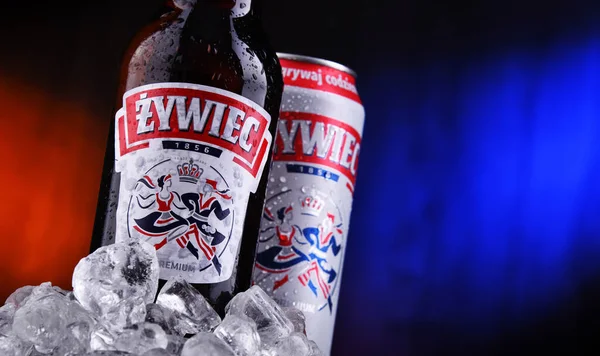 Poznan Pol Oct 2020 Bottle Can Zywiec Beer Pale Lager — 图库照片