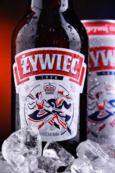 Poznan Pol Oct 2020 Bottle Can Zywiec Beer Pale Lager — Stock Photo, Image