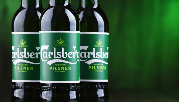 Poznan Pol Oct 2020 Bottiglie Birra Carlsberg Lager Prodotta Dal — Foto Stock