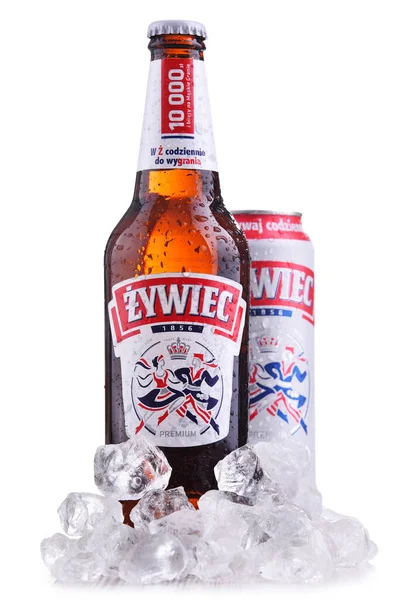 Poznan Pol Oct 2020 Garrafa Lata Cerveja Zywiec Uma Cerveja — Fotografia de Stock