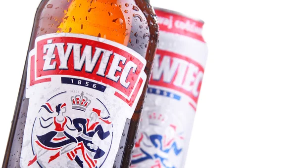 Poznan Pol Oct 2020 Bouteille Canette Bière Zywiec Bière Pâle — Photo