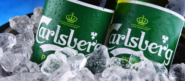 Poznan Pol Octubre 2020 Botellas Cerveza Carlsberg Pale Lager Producidas —  Fotos de Stock