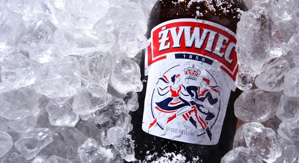 Poznan Pol Oct 2020 Bottle Zywiec Beer Pale Lager Which — 图库照片