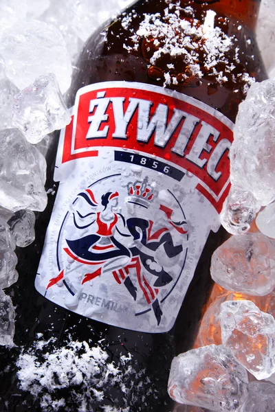 Poznan Pol Oct 2020 Bouteille Bière Zywiec Une Bière Blonde — Photo