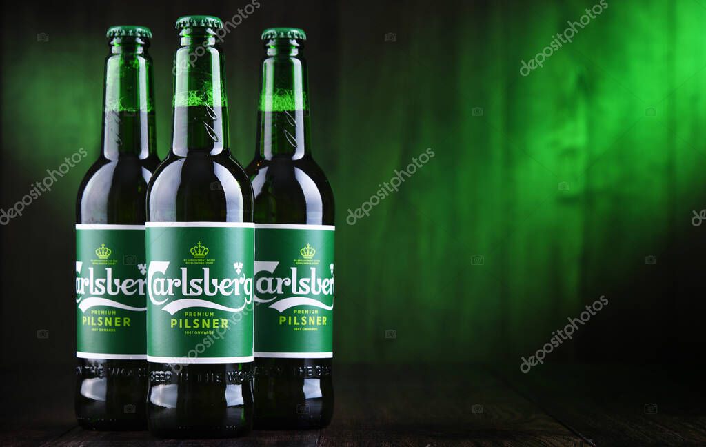 POZNAN, POL - OCT 2, 2020: Bottles of Carlsberg pale lager beer produced by Carlsberg Group, a Danish brewing company founded in 1847 with headquarters located in Copenhagen, Denmark