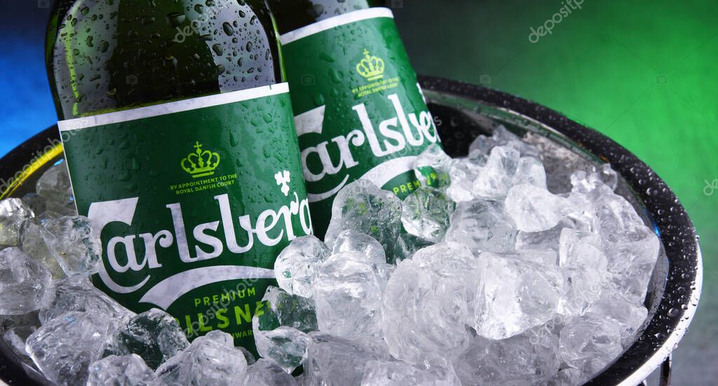 POZNAN, POL - OCT 8, 2020: Bottles of Carlsberg pale lager beer produced by Carlsberg Group, a Danish brewing company founded in 1847 with headquarters located in Copenhagen, Denmark