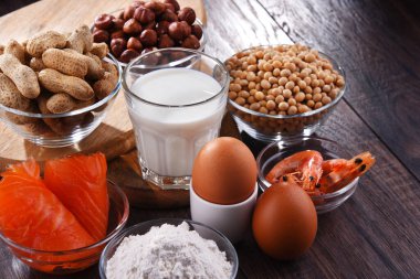 Yumurta, süt, soya, fıstık, fındık, balık, deniz ürünleri ve buğday unu gibi ortak gıda alerjisi olan bileşim