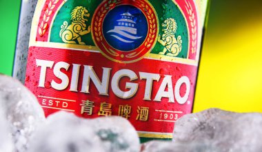 POZNAN, POL - 18 Şubat 2021: Bir şişe Tsingtao birası, Çin 'in Shandong eyaletindeki ikinci büyük bira fabrikası olan Tsingtao bira fabrikasının ürünü.