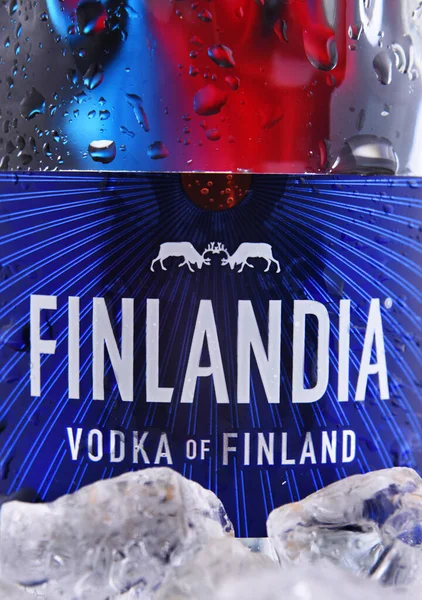 Poznan Pol Jan 2021 Bottle Finlandia Marka Fińskiej Wódki Należąca — Zdjęcie stockowe