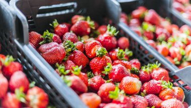 Akşam yemeği pazarında plastik kasalarda taze çilekler.