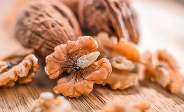 Composizione Con Noci Senza Guscio Nelle Conchiglie — Foto Stock