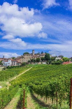 Neive 'in Cuneo, Piedmont, İtalya' daki manzarası.